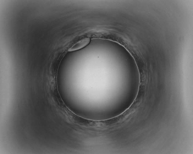X0000114491109200910191225