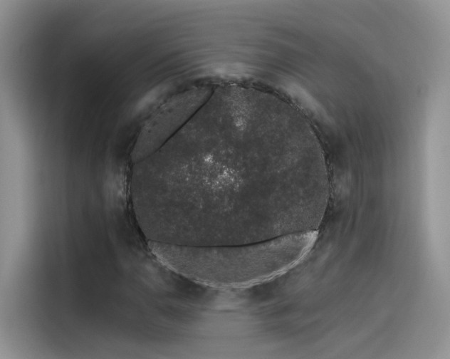 X0000114491110200910191225