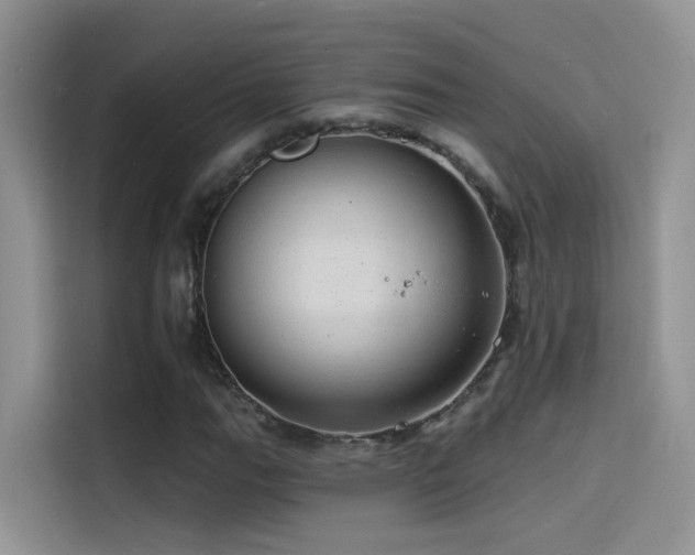X0000114491111200910191225