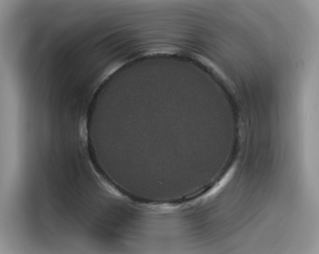 X0000114491113200910191225