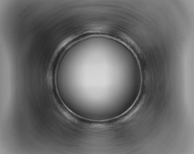 X0000114491114200910191225