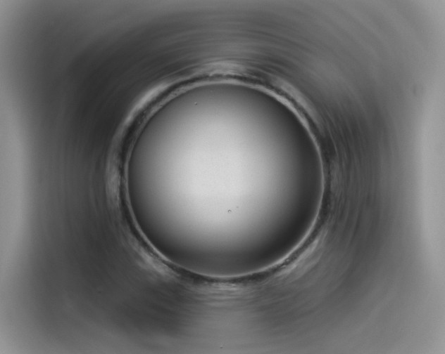 X0000114491115200910191225