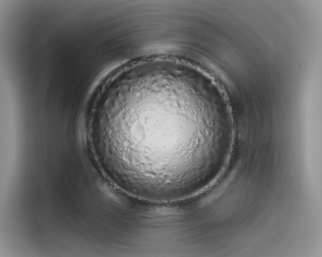 X0000114491117200910191225