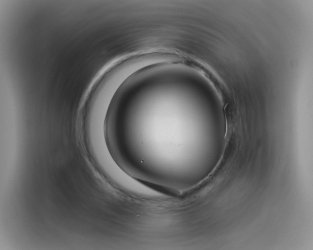 X0000114491118200910191225