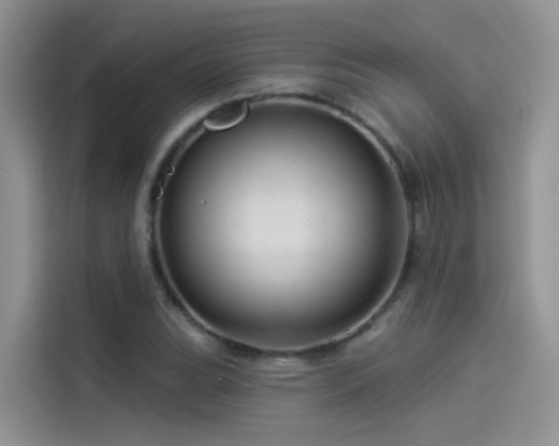 X0000114491119200910191225