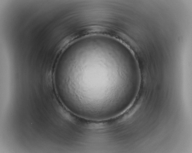 X0000114491121200910191225