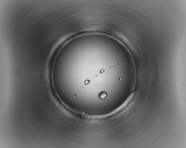 X0000114491122200910191225
