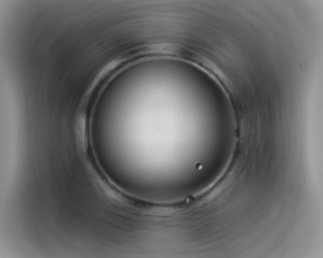 X0000114491123200910191225