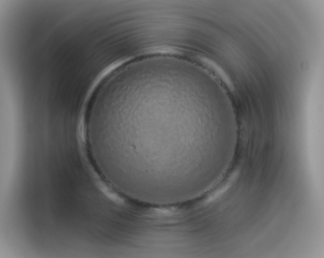 X0000114491125200910191225