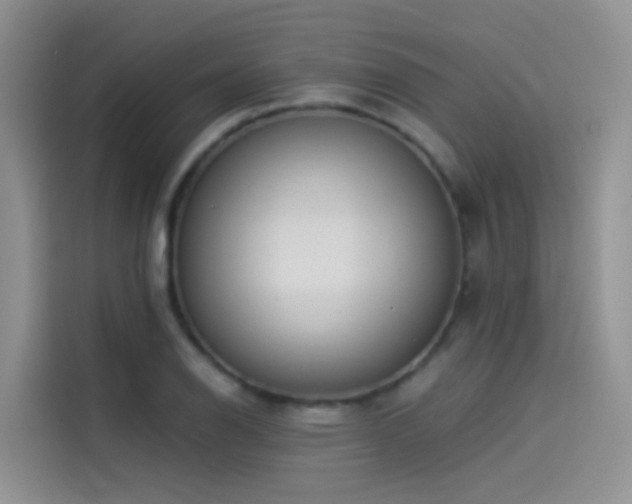 X0000114491126200910191225