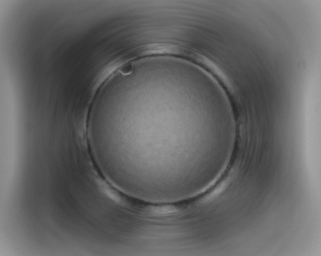 X0000114491129200910191225