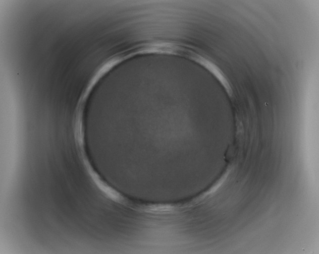 X0000114491131200910191225