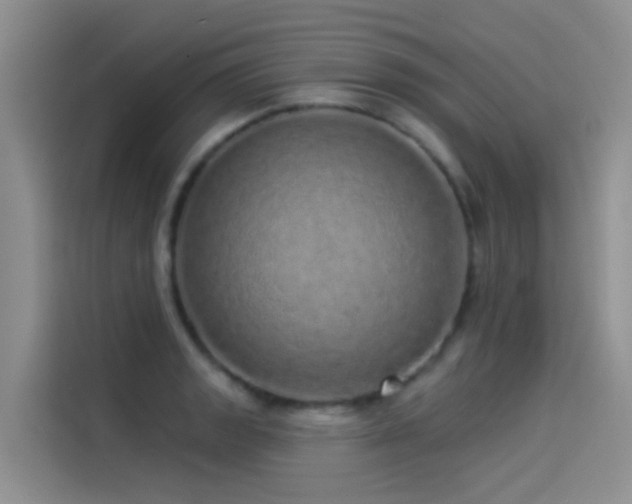 X0000114491133200910191225