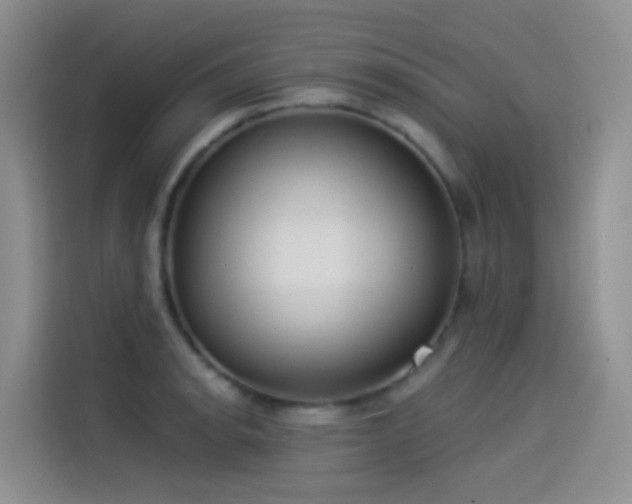 X0000114491134200910191225