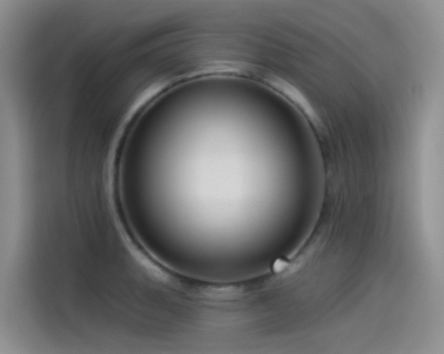 X0000114491135200910191225