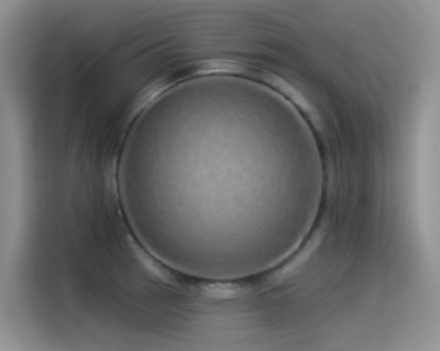 X0000114491137200910191225