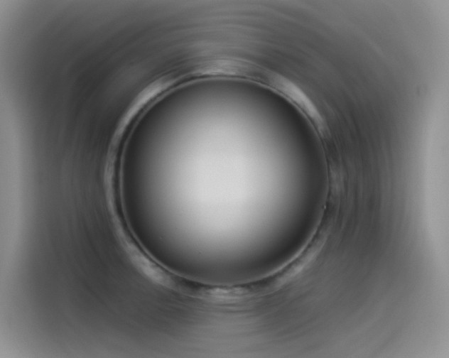 X0000114491138200910191226