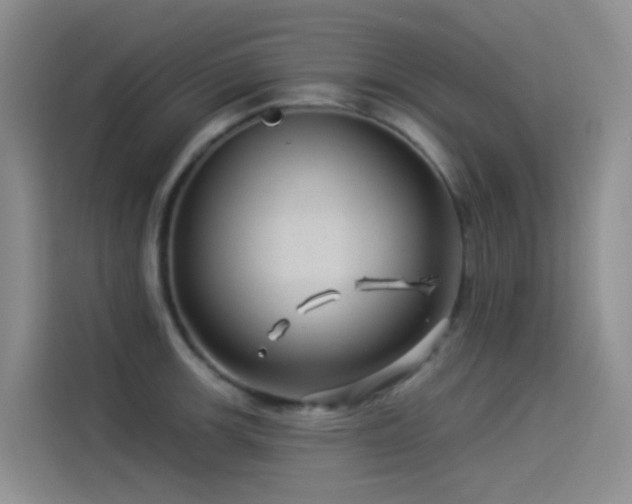 X0000114491139200910191226