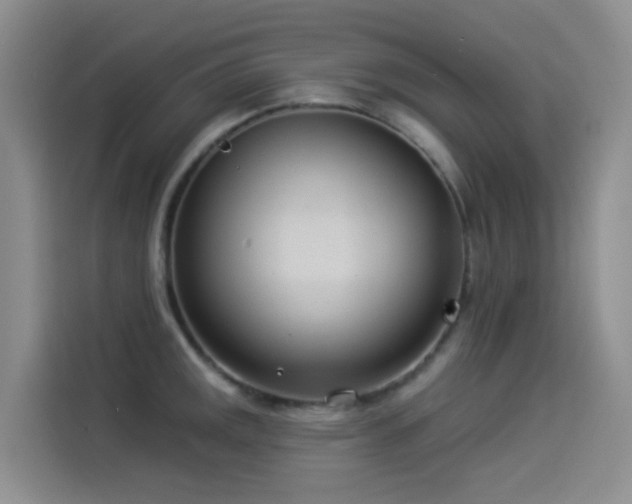 X0000114491141200910191226