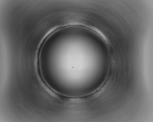 X0000114491142200910191226