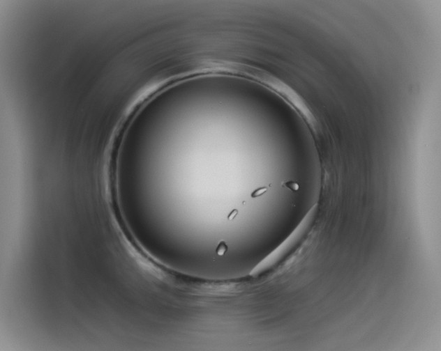 X0000114491143200910191226