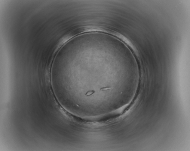 X0000114491145200910191226