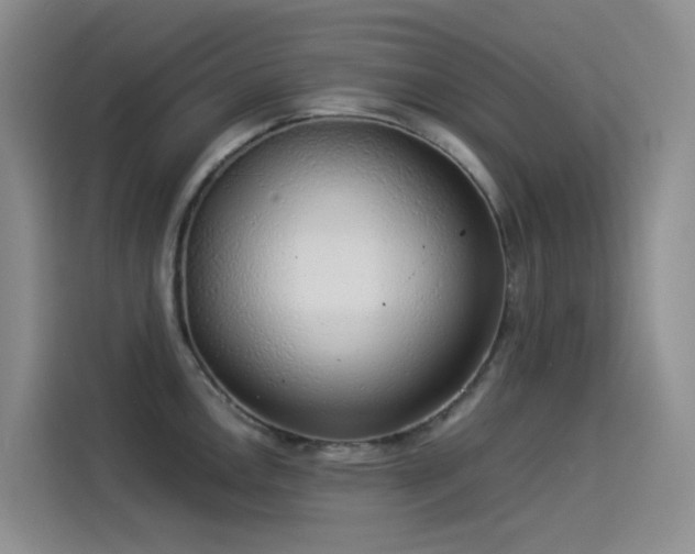 X0000114491146200910191226