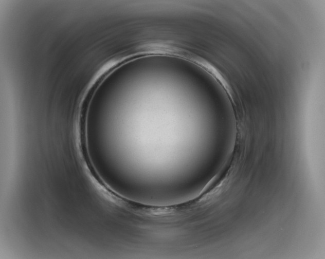 X0000114491147200910191226