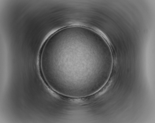 X0000114491149200910191226
