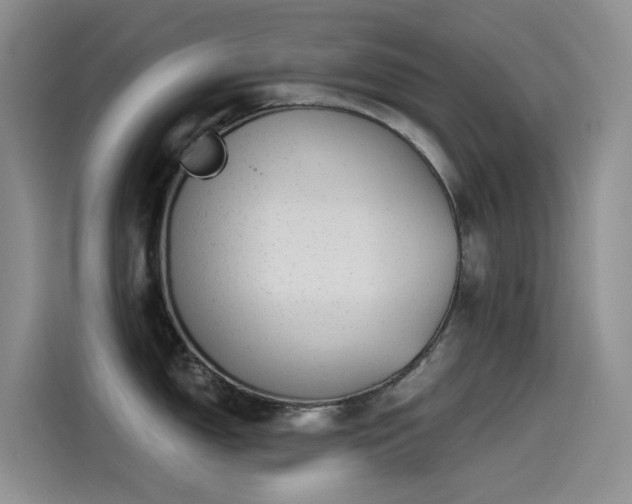 X0000114491150200910191226
