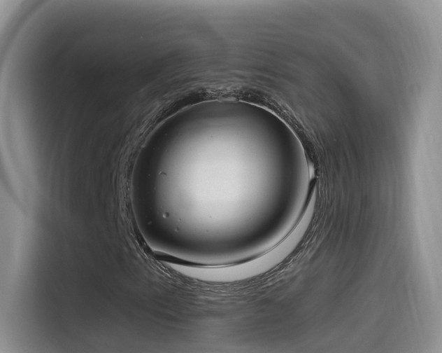 X0000114491153200910191225