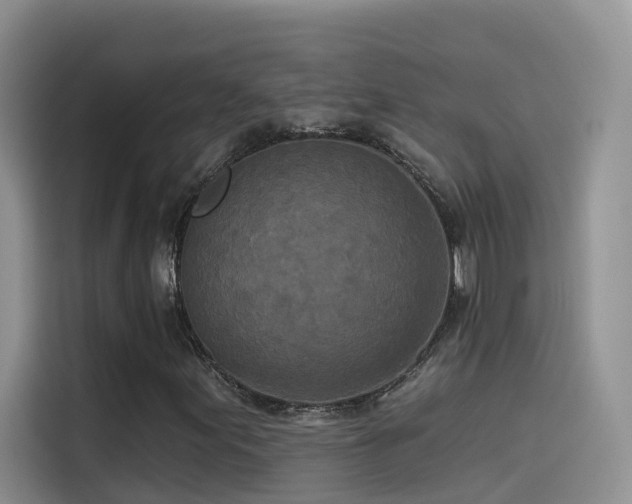X0000114491155200910191225