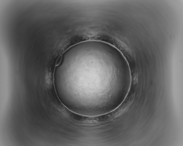 X0000114491156200910191225