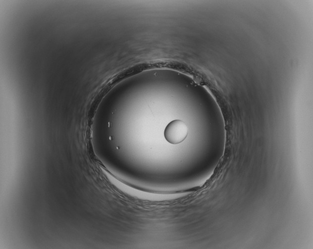 X0000114491157200910191225