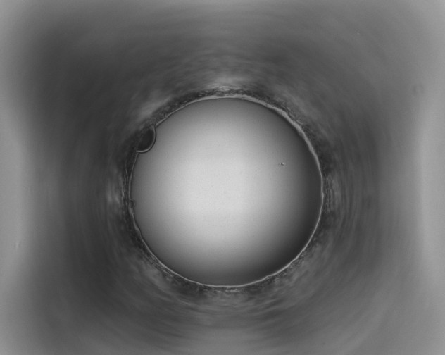X0000114491158200910191225