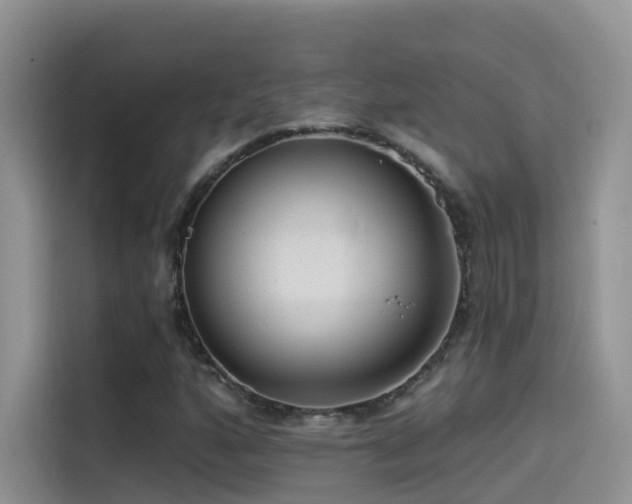X0000114491160200910191225