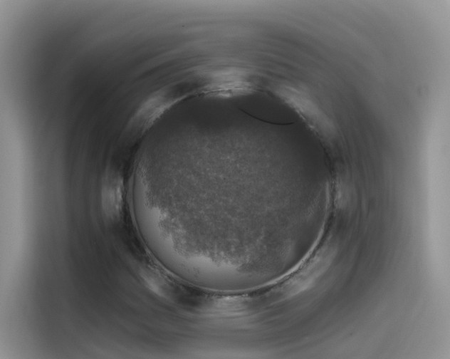 X0000114491161200910191225