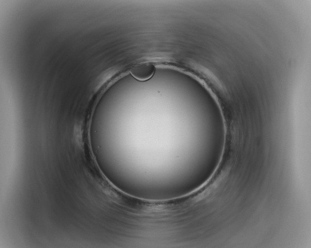 X0000114491162200910191225