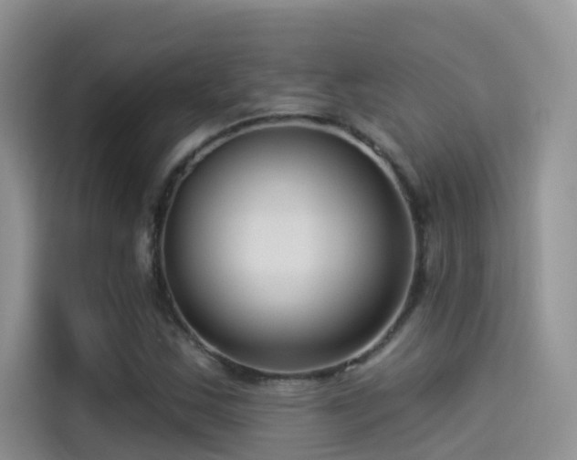 X0000114491163200910191225