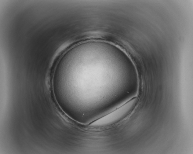 X0000114491164200910191225