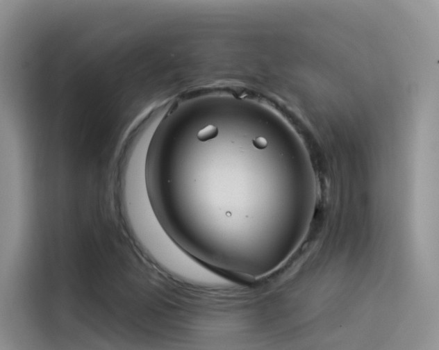 X0000114491165200910191225