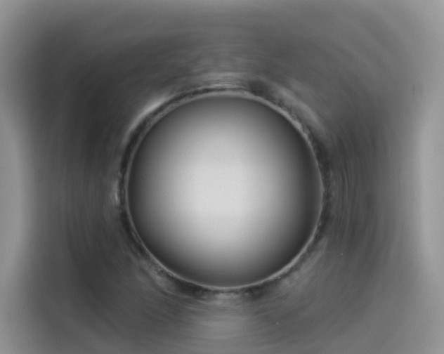 X0000114491166200910191225