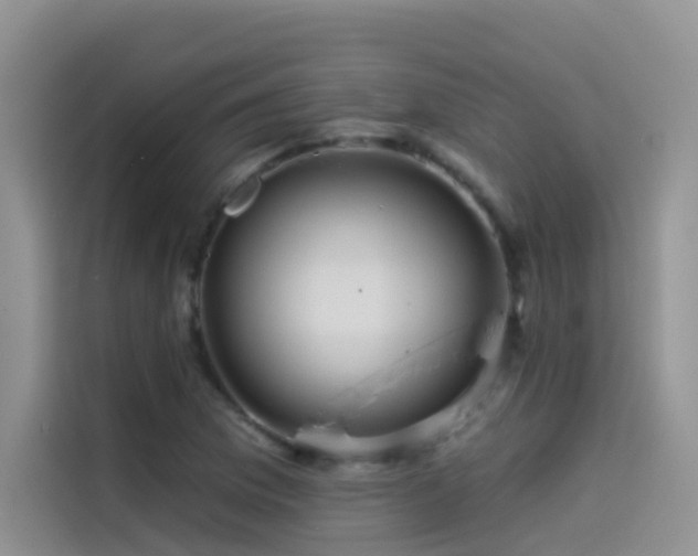 X0000114491169200910191225