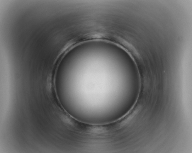X0000114491170200910191225