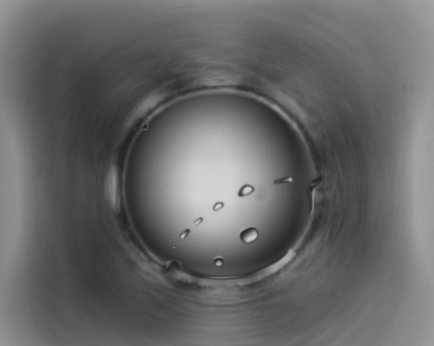 X0000114491171200910191225