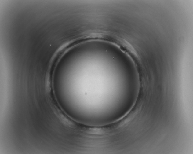 X0000114491172200910191225