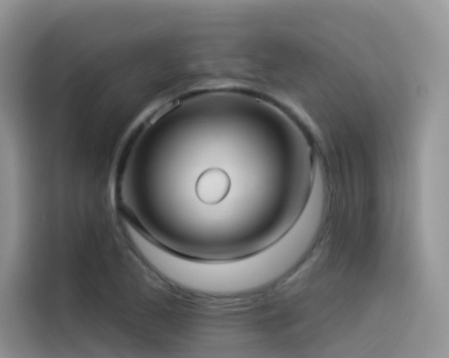 X0000114491173200910191225
