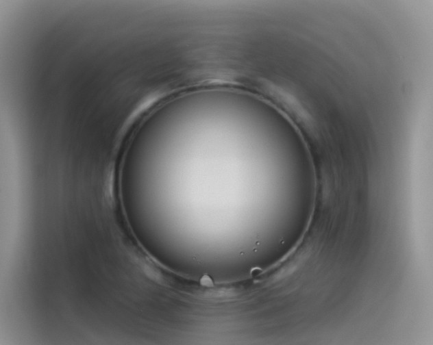 X0000114491174200910191225