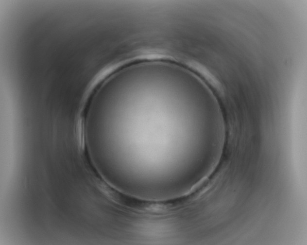 X0000114491175200910191225