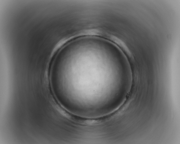 X0000114491176200910191225